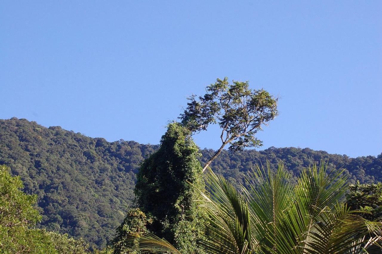 Pousada Toca Da Anita Maresias São Sebastião Exterior foto